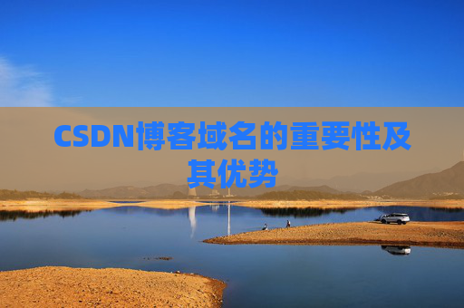 CSDN博客域名的重要性及其优势